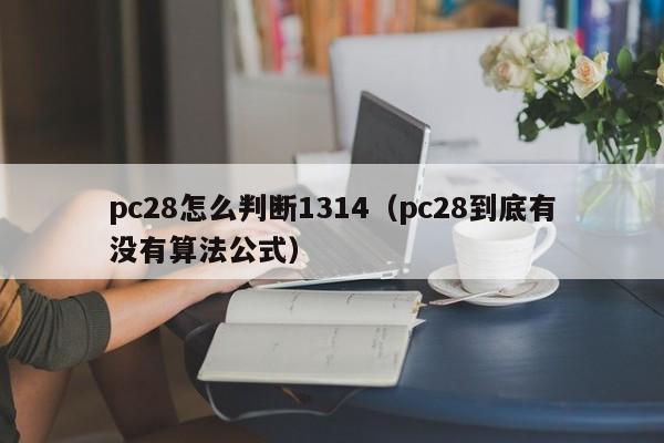 pc28怎么判断1314（pc28到底有没有算法公式）-第1张图片-pc28