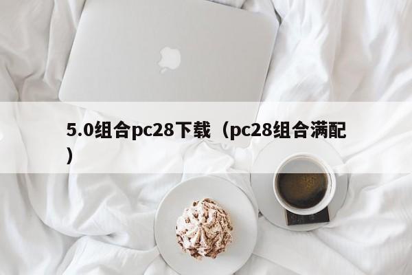 5.0组合pc28下载（pc28组合满配）-第1张图片-pc28