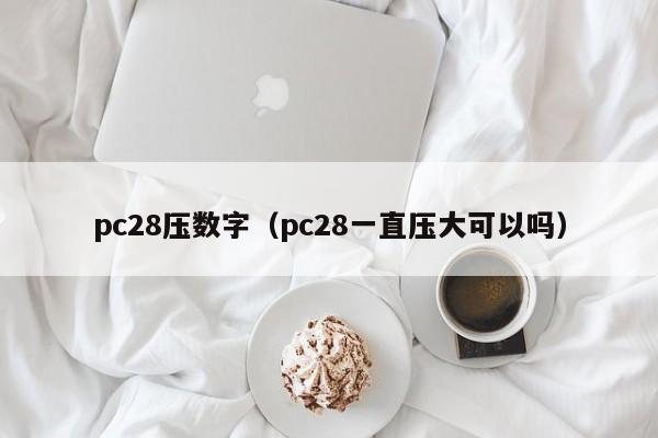 pc28压数字（pc28一直压大可以吗）-第1张图片-pc28