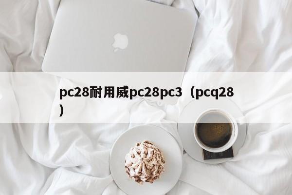 pc28耐用威pc28pc3（pcq28）-第1张图片-pc28