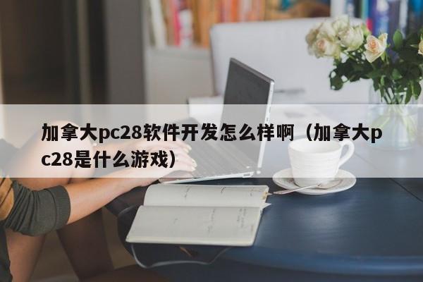 加拿大pc28软件开发怎么样啊（加拿大pc28是什么游戏）-第1张图片-pc28