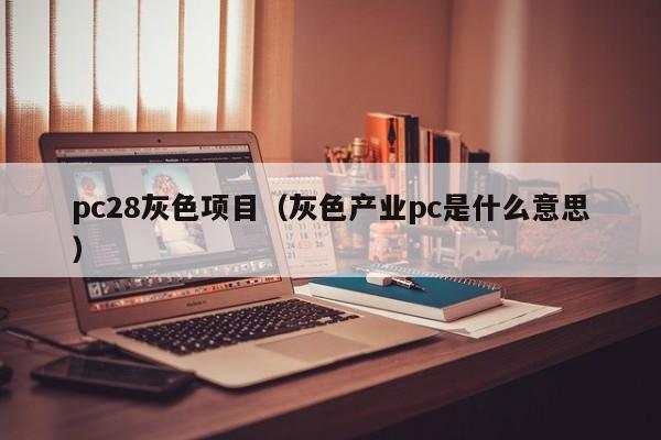 pc28灰色项目（灰色产业pc是什么意思）-第1张图片-pc28