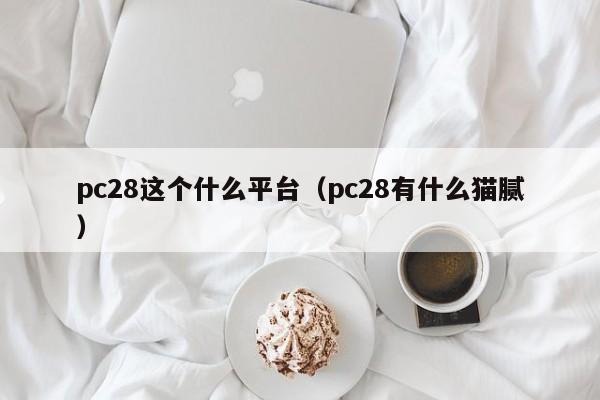 pc28这个什么平台（pc28有什么猫腻）-第1张图片-pc28