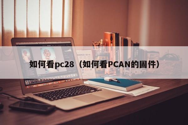 如何看pc28（如何看PCAN的固件）-第1张图片-pc28