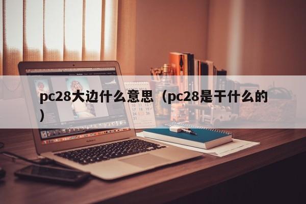 pc28大边什么意思（pc28是干什么的）-第1张图片-pc28