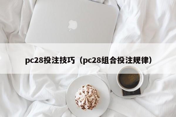 pc28投注技巧（pc28组合投注规律）-第1张图片-pc28