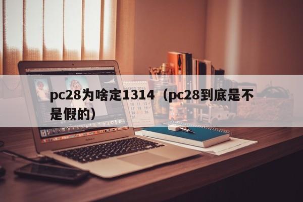 pc28为啥定1314（pc28到底是不是假的）-第1张图片-pc28