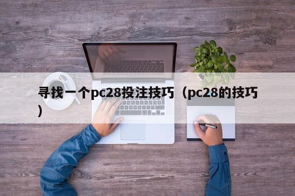 寻找一个pc28投注技巧（pc28的技巧）-第1张图片-pc28