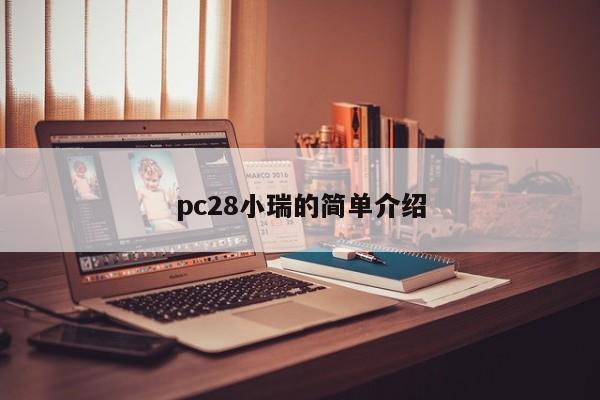 pc28小瑞的简单介绍-第1张图片-pc28