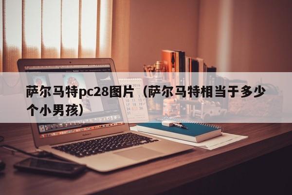 萨尔马特pc28图片（萨尔马特相当于多少个小男孩）-第1张图片-pc28