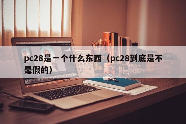 pc28是一个什么东西（pc28到底是不是假的）-第1张图片-pc28