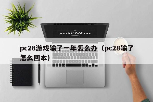 pc28游戏输了一年怎么办（pc28输了怎么回本）-第1张图片-pc28