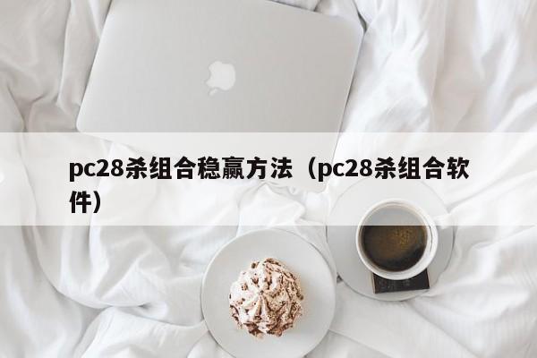 pc28杀组合稳赢方法（pc28杀组合软件）-第1张图片-pc28