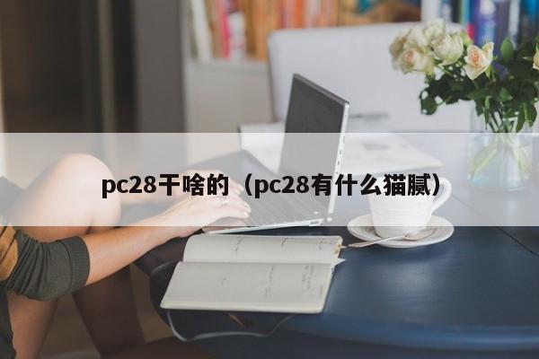 pc28干啥的（pc28有什么猫腻）-第1张图片-pc28