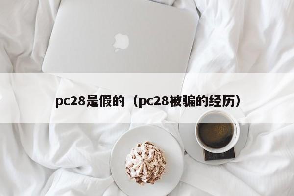 pc28是假的（pc28被骗的经历）-第1张图片-pc28