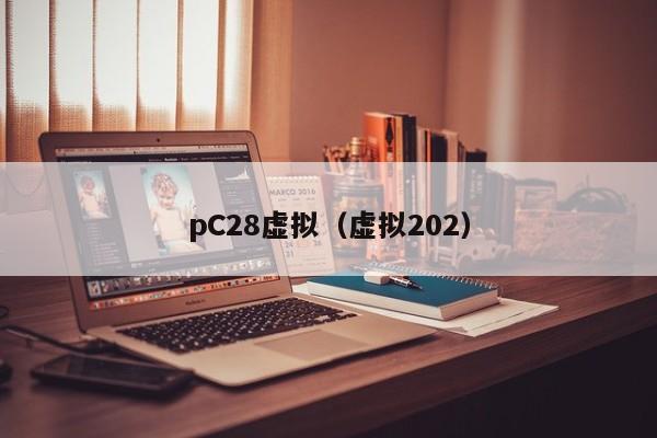 pC28虚拟（虚拟202）-第1张图片-pc28