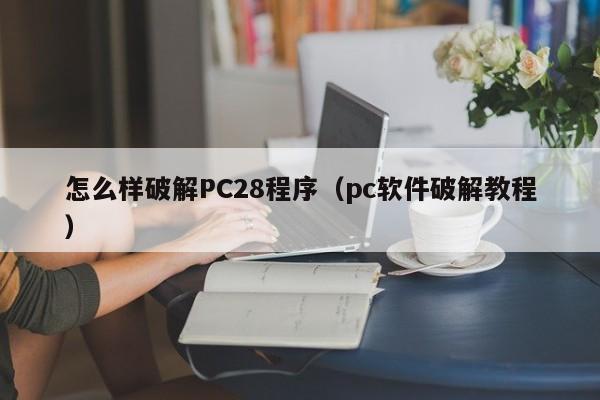 怎么样破解PC28程序（pc软件破解教程）-第1张图片-pc28