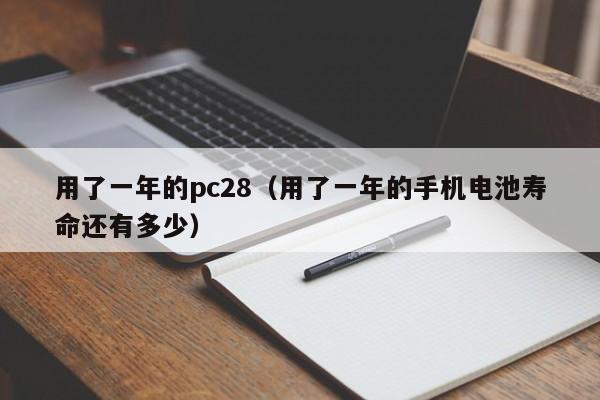 用了一年的pc28（用了一年的手机电池寿命还有多少）-第1张图片-pc28