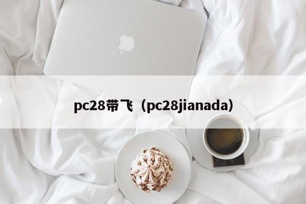 pc28带飞（pc28jianada）-第1张图片-pc28