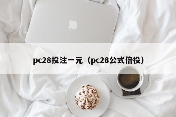 pc28投注一元（pc28公式倍投）-第1张图片-pc28