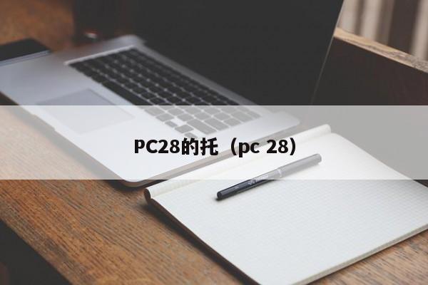 PC28的托（pc 28）-第1张图片-pc28