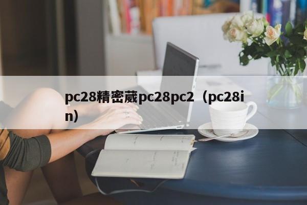 pc28精密葳pc28pc2（pc28in）-第1张图片-pc28