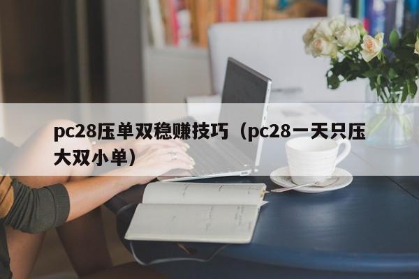 pc28压单双稳赚技巧（pc28一天只压大双小单）-第1张图片-pc28