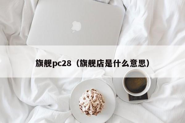 旗舰pc28（旗舰店是什么意思）-第1张图片-pc28