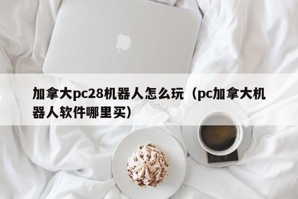 加拿大pc28机器人怎么玩（pc加拿大机器人软件哪里买）-第1张图片-pc28