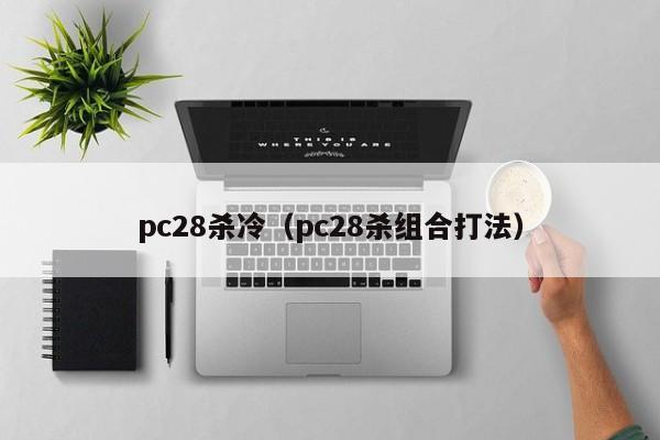 pc28杀冷（pc28杀组合打法）-第1张图片-pc28